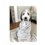 Tall Tails Tall Tails Waterproof Blanket for Dogs, Khaki 40 x 60 in.
