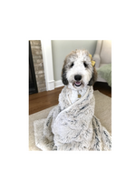 Tall Tails Tall Tails Waterproof Blanket for Dogs, Khaki 40 x 60 in.