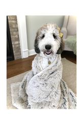 Tall Tails Tall Tails Waterproof Blanket for Dogs, Khaki 40 x 60 in.