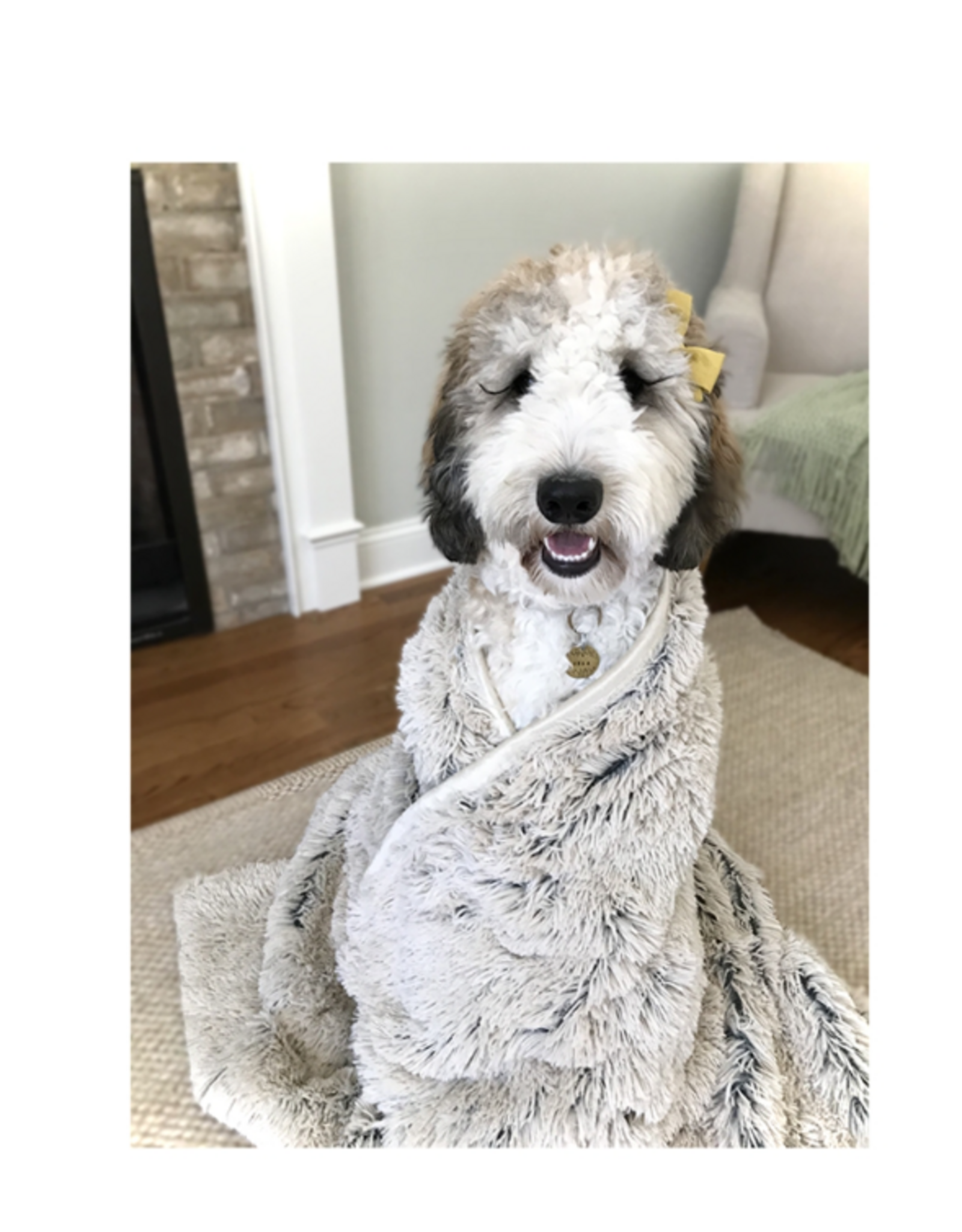 Tall Tails Tall Tails Waterproof Blanket for Dogs, Khaki 40 x 60 in.