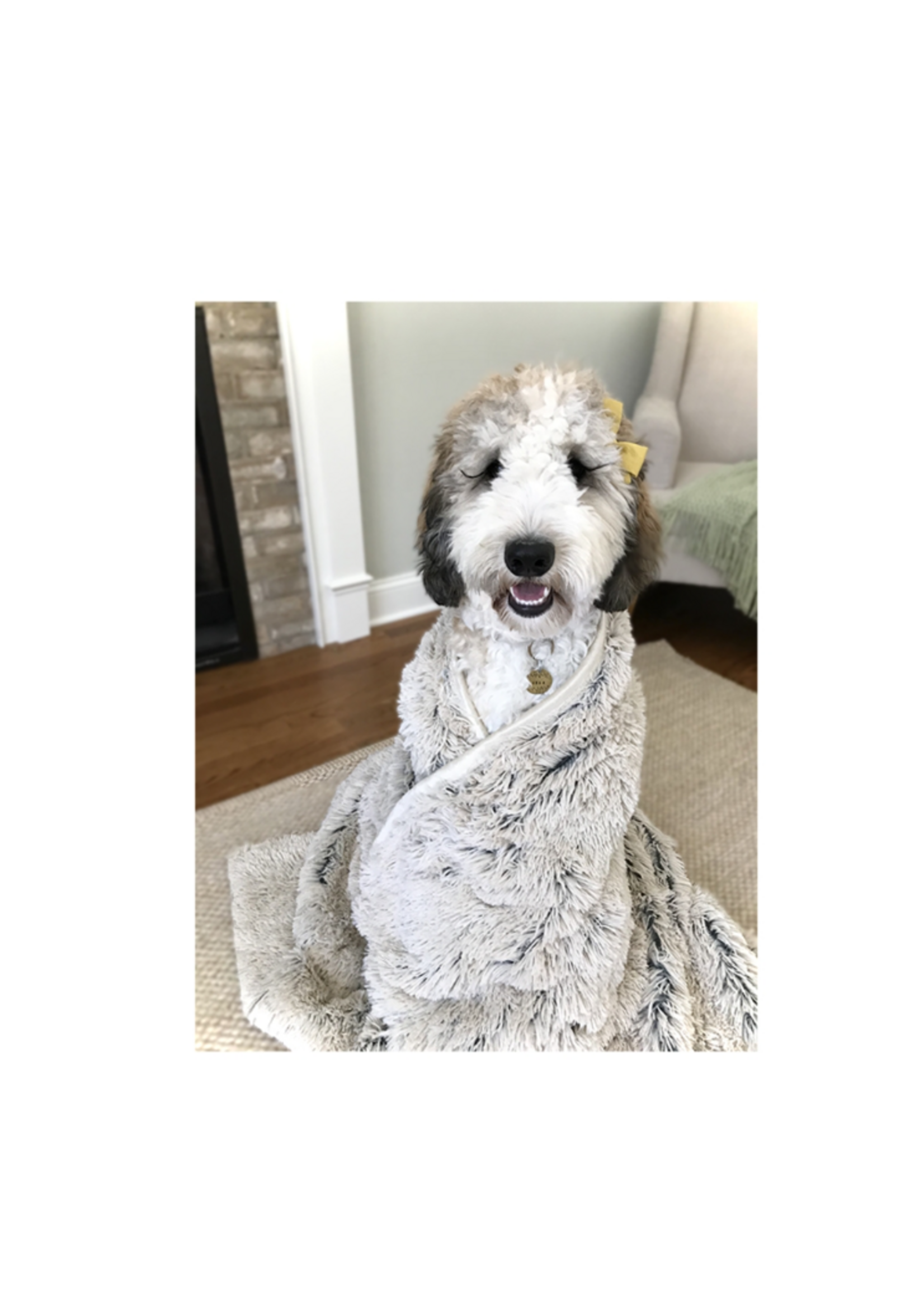 Tall Tails Tall Tails Waterproof Blanket for Dogs, Khaki 40 x 60 in.