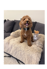 Tall Tails Tall Tails Anywhere Cuddler Dog & Cat Bed, Khaki 34 x 34 in.