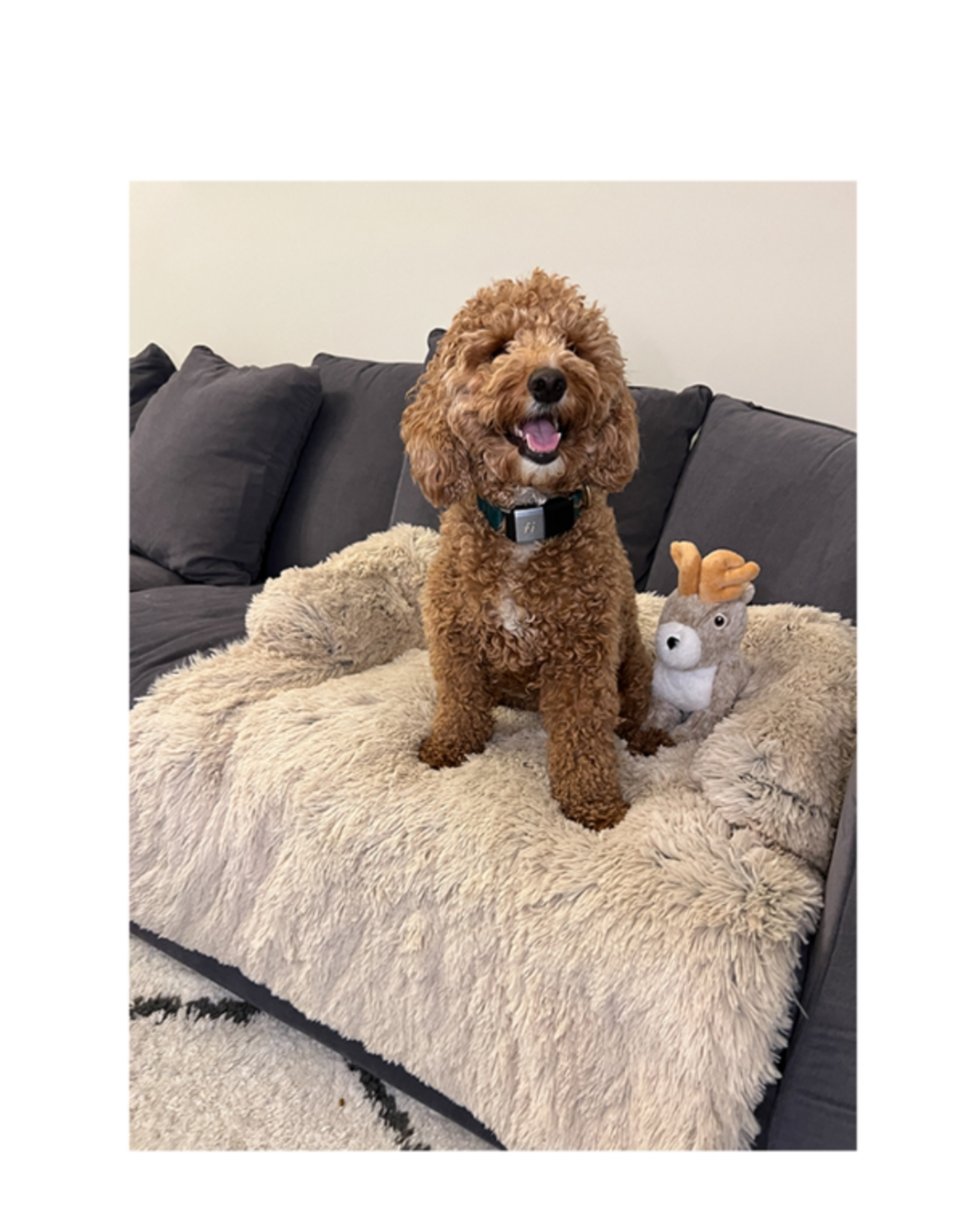 Tall Tails Tall Tails Anywhere Cuddler Dog & Cat Bed, Khaki 34 x 34 in.