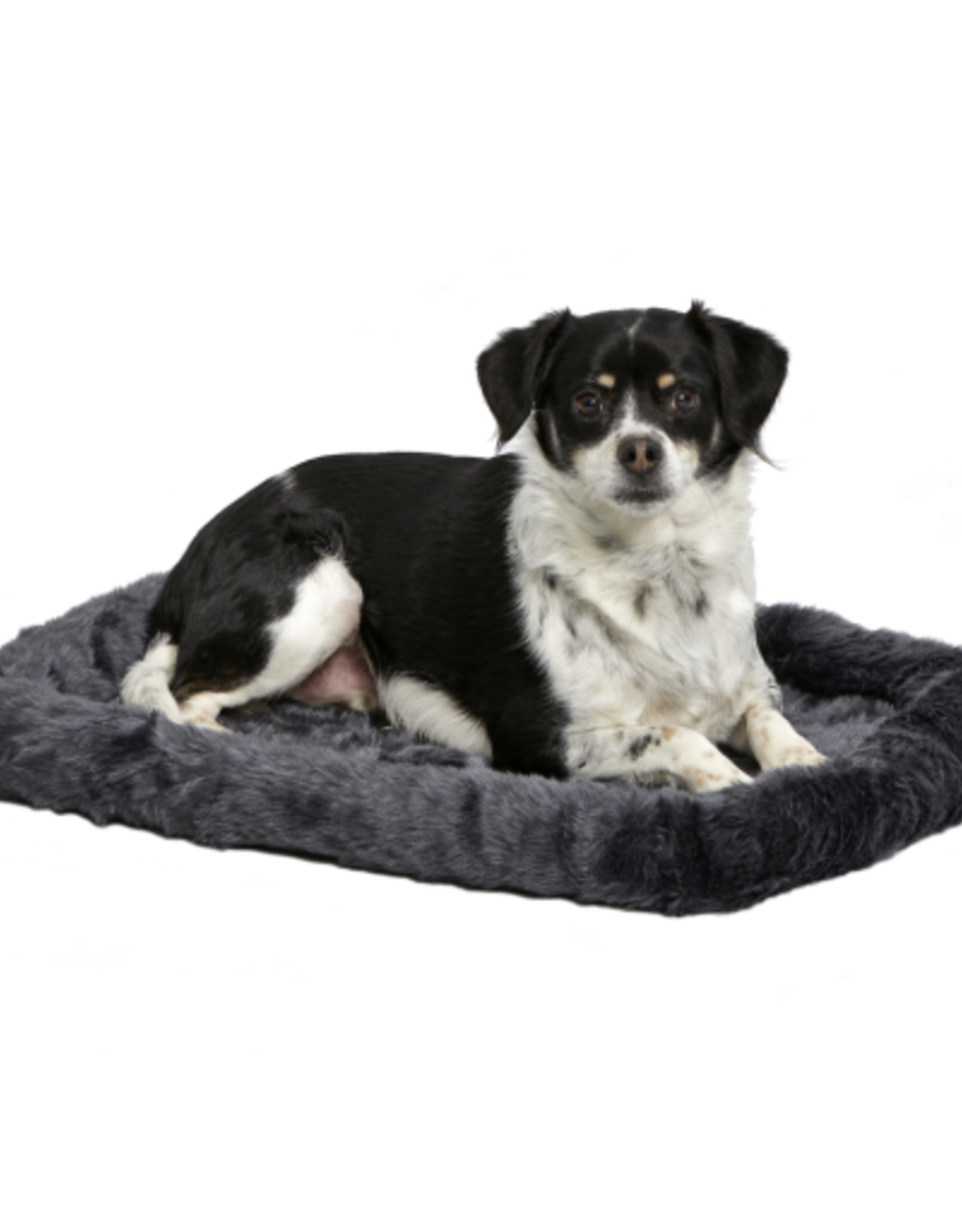 MidWest Quiet Time Bed GRAY 24X18
