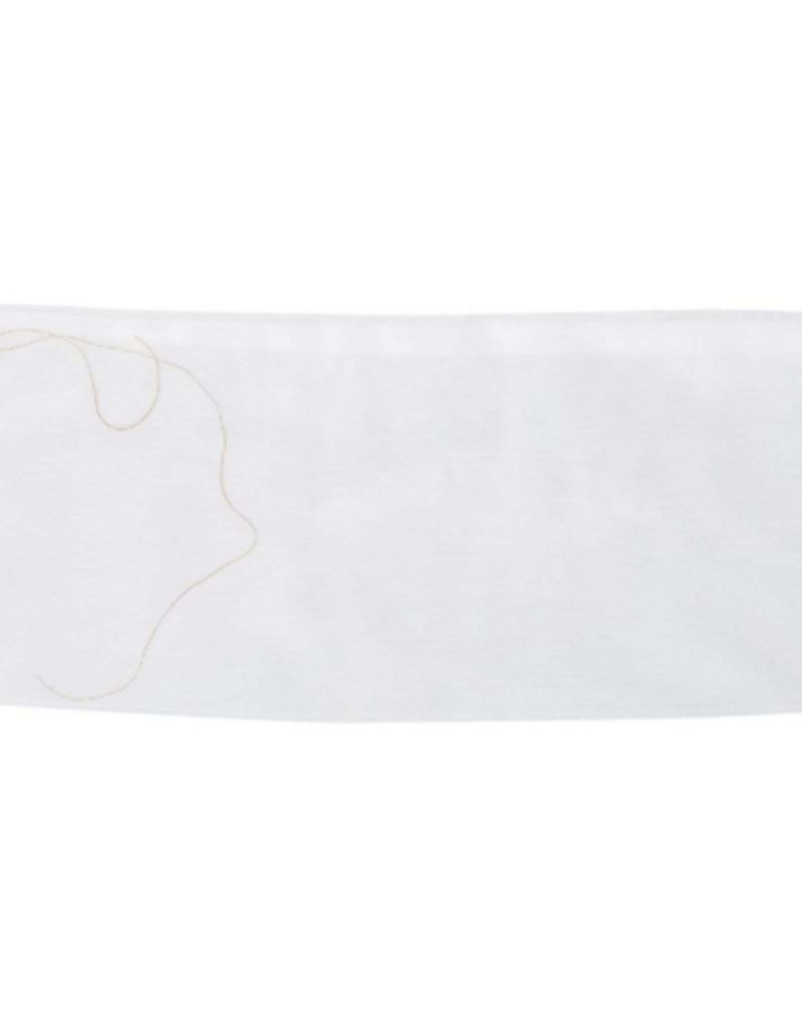 Blue Ribbon Pet 100% Nylon Filter Bag with Drawstring Top for Aquarium Filtration  1 count (4  x 12 )