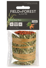 Kaytee Kaytee Field+Forest Mini Hay Bale Carrot - 3.5 oz