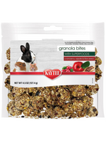 Kaytee Kaytee Granola Bites with Super Foods Cranberry Apple and Flax - 4.5 oz