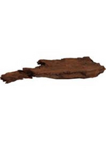 Blue Ribbon Sea Sculptures Natural Malaysian Driftwood pd