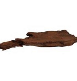 Blue Ribbon Sea Sculptures Natural Malaysian Driftwood