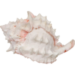 Zoo Med Zoo Med Hermit Crab Growth Shell Extra Large
