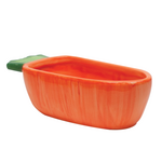 Kaytee Kaytee Vege-T-Bowl Carrot for Small Animals - 7.5 inches