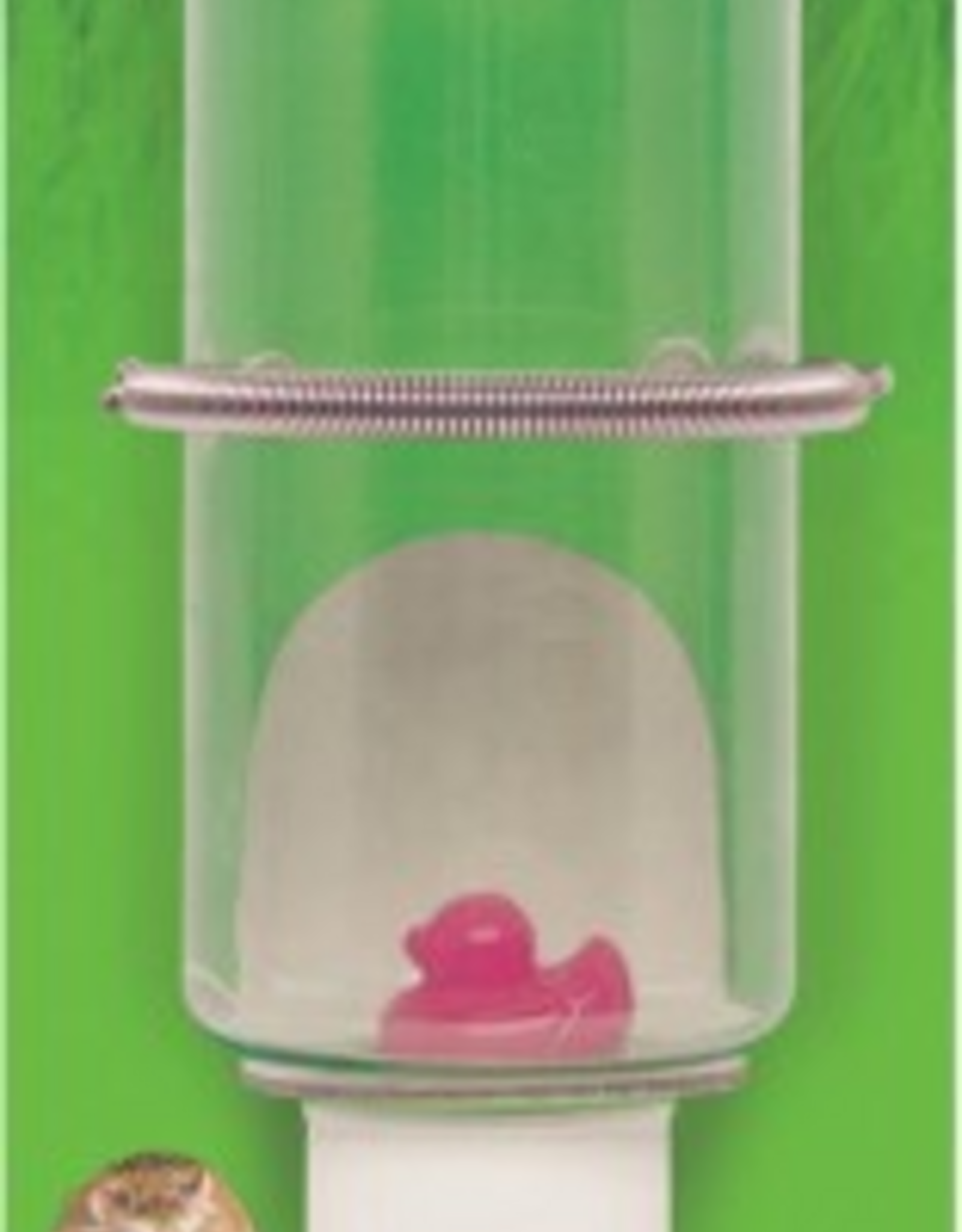 Kaytee Kaytee Clear View Water Bottle for Small Pets - 4 oz