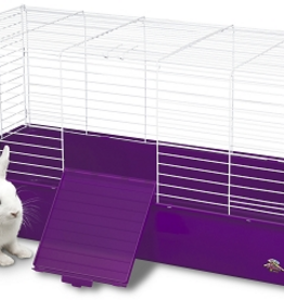 Kaytee Kaytee My First Home - X-Large - 40L x 18W x 20H (Assorted Colors)