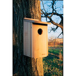 Panacea Woodlink Owl/Kestrel Screech House