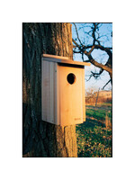 Panacea Woodlink Owl/Kestrel Screech House
