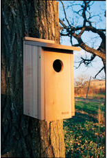 Panacea Woodlink Owl/Kestrel Screech House