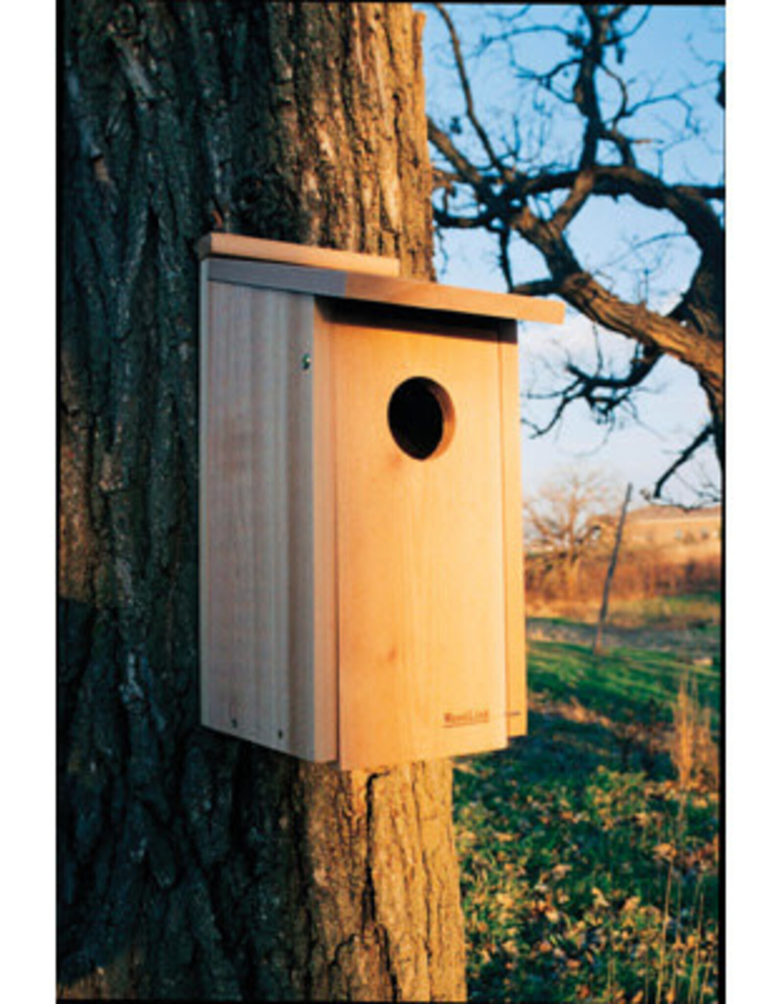 Panacea Woodlink Owl/Kestrel Screech House