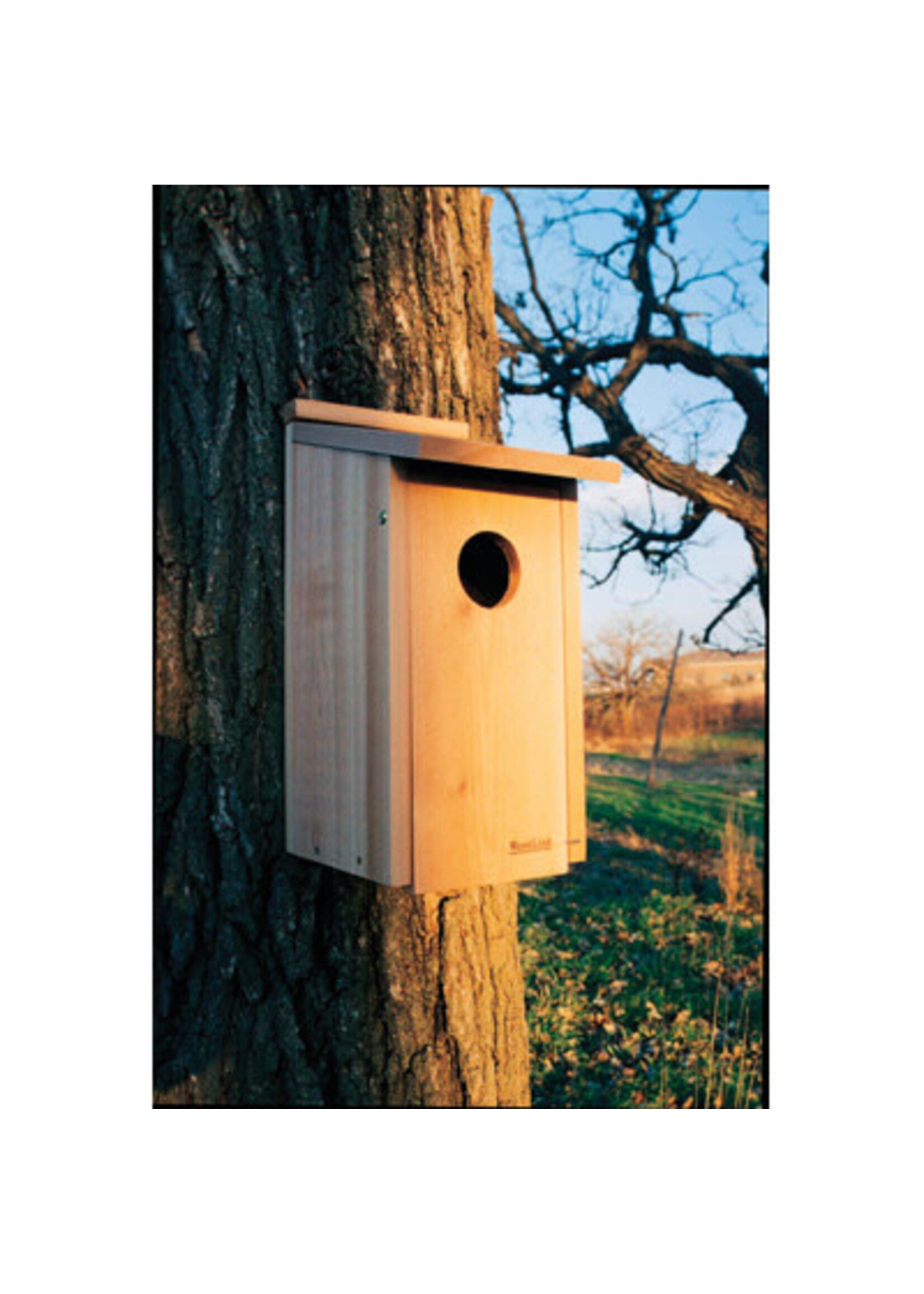 Panacea Woodlink Owl/Kestrel Screech House
