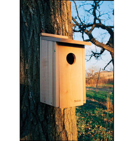 Panacea Woodlink Owl/Kestrel Screech House
