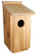 Panacea Woodlink Owl/Kestrel Screech House