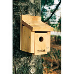 Panacea Woodlink Cedar Wren House
