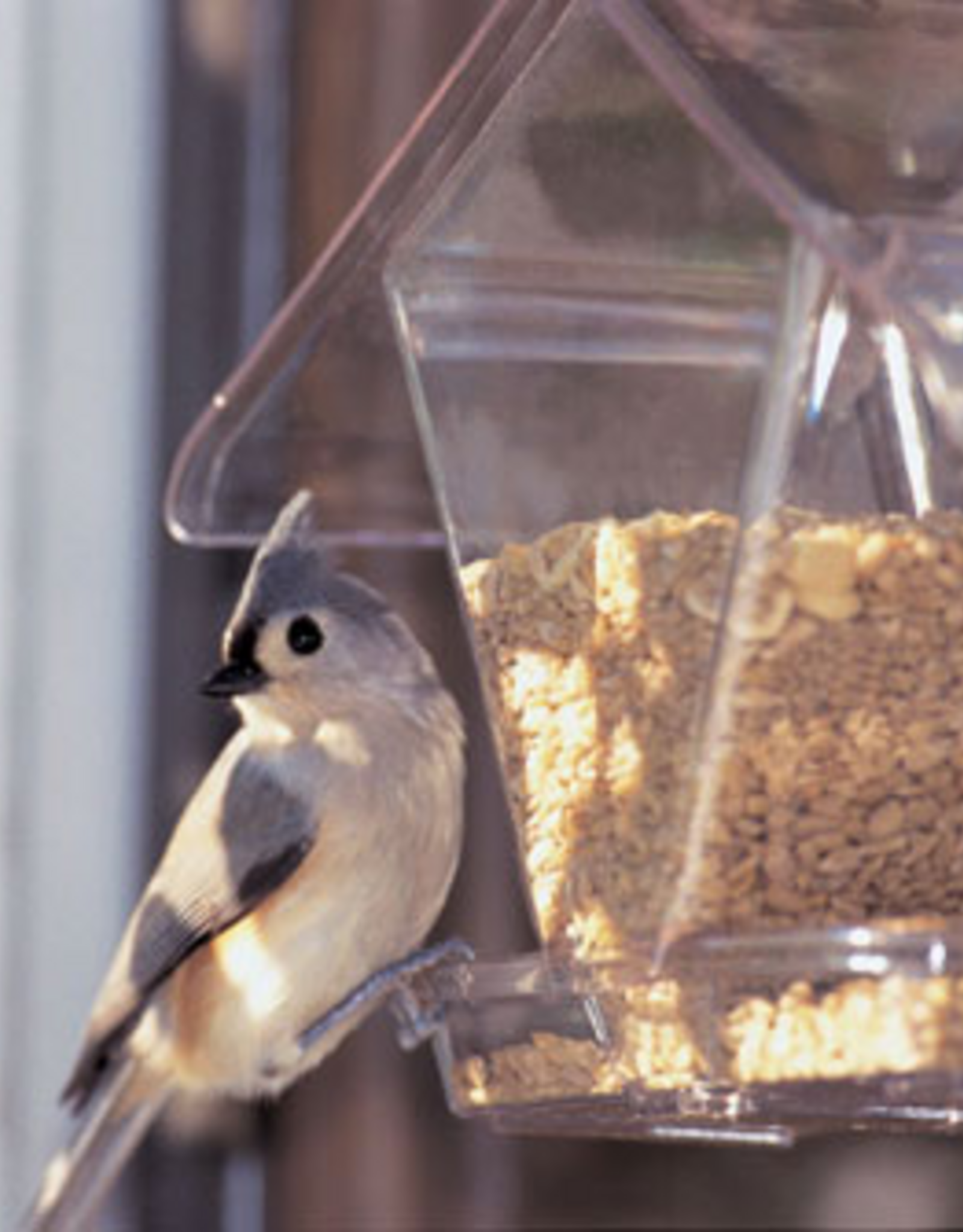 Aspects Aspects Window Cafe Window Mount Bird Feeder