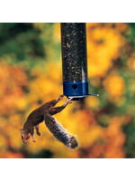 Droll Yankees Droll Yankees Whipper Wild Bird Polycarbonate Tube Bird Feeder - 4 ports, 5 lb.