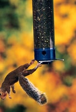 Droll Yankees Droll Yankees Whipper Wild Bird 5 lb. Polycarbonate Tube Bird Feeder 4 ports