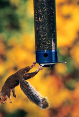 Droll Yankees Droll Yankees Whipper Wild Bird Polycarbonate Tube Bird Feeder - 4 ports, 5 lb.