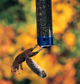 Droll Yankees Droll Yankees Whipper Wild Bird 5 lb. Polycarbonate Tube Bird Feeder 4 ports