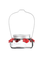 Nature's Way Nature's Way Bird Products 6oz Mason Jar Hummingbird Glass Feeder 2.5"