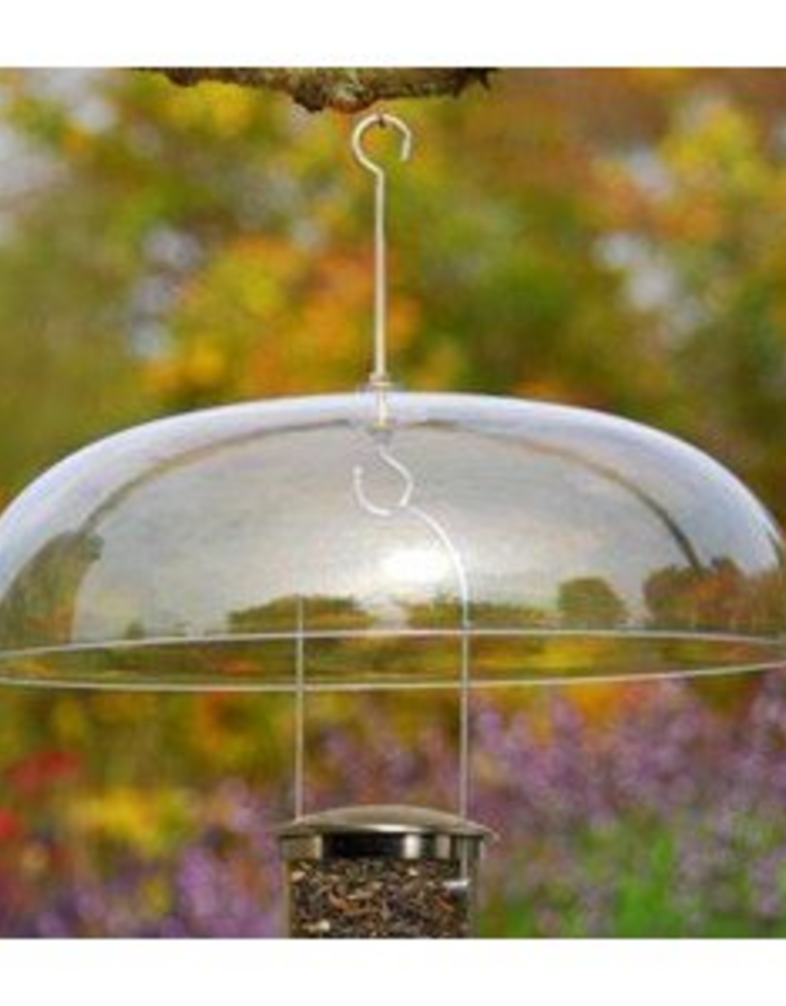 Aspects Aspects Super Dome Clear - 18"