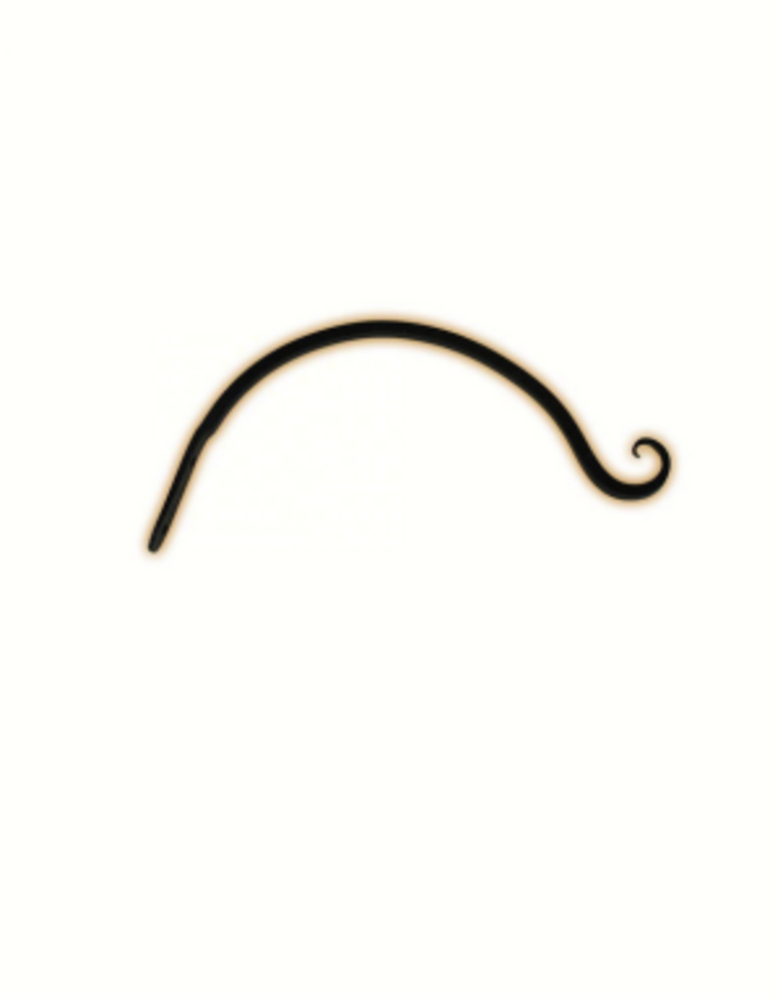 The Hookery The Hookery 12 inch upturned Curved Hanger