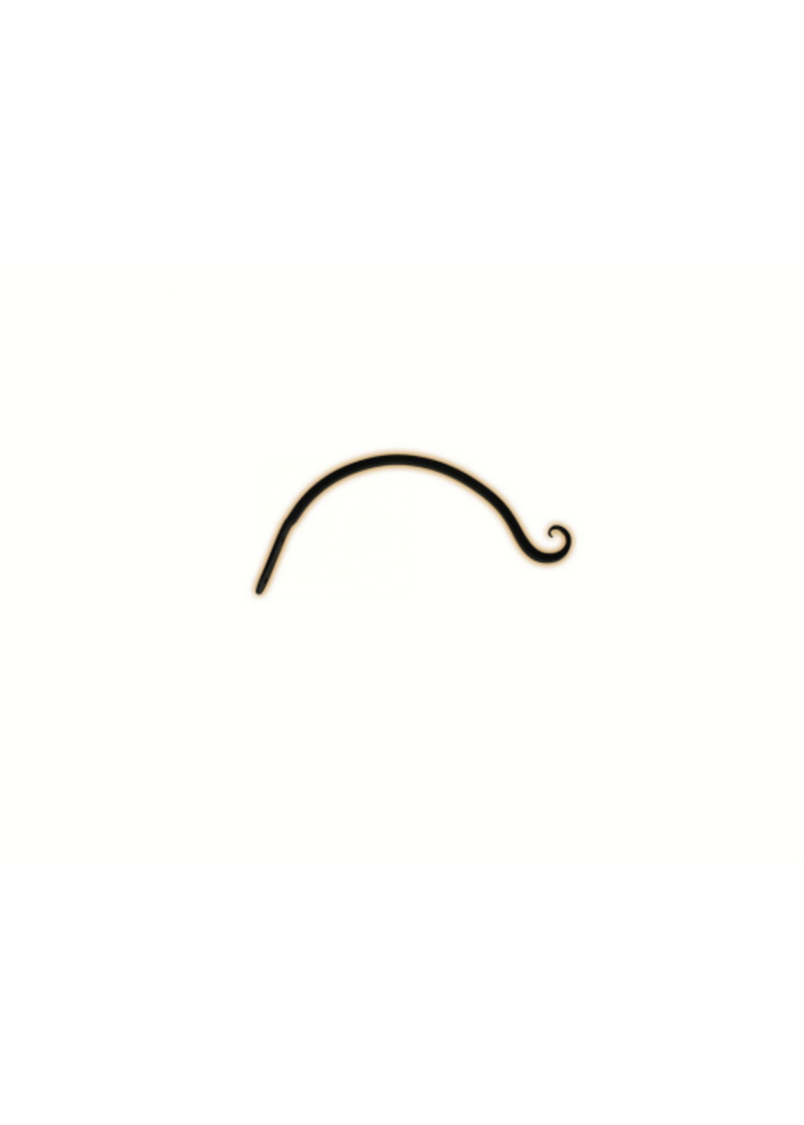 The Hookery The Hookery 12 inch upturned Curved Hanger