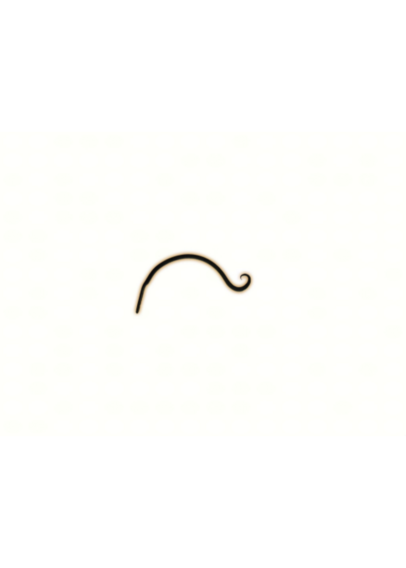 The Hookery The Hookery 7 in. H X 9 in. W X 0.75 in. D Bird Feeder Hook