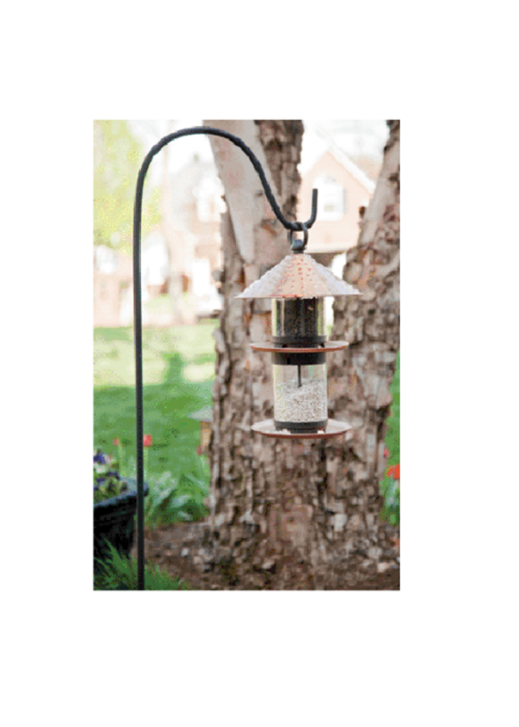 The Hookery The Hookery Single Shepherd Hook - 36" H Black