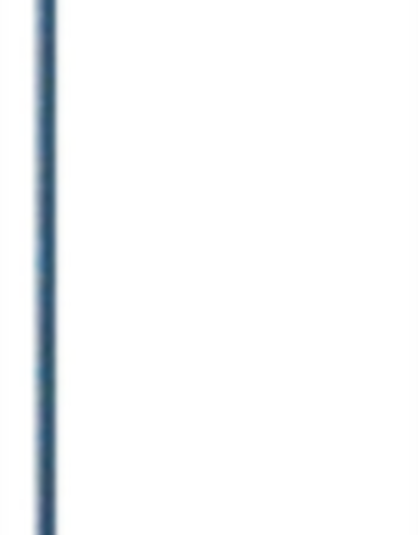 The Hookery The Hookery Single Shepherd Garden Hook 64 Inch - Black