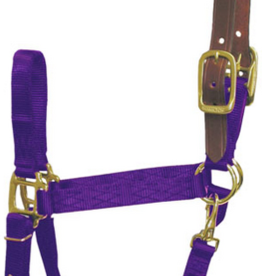 Hamilton Hamilton Adjustable Horse Halter With Leather Headpole- Purple Average