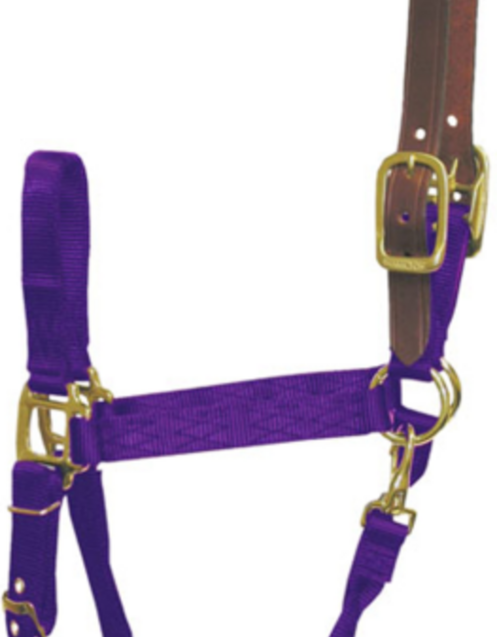 Hamilton Hamilton Adjustable Horse Halter With Leather Headpole- Purple Average