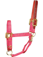 Hamilton Hamilton ADJUSTABLE HALTER WITH LEATHER HEADPOLE AVERAGE RED