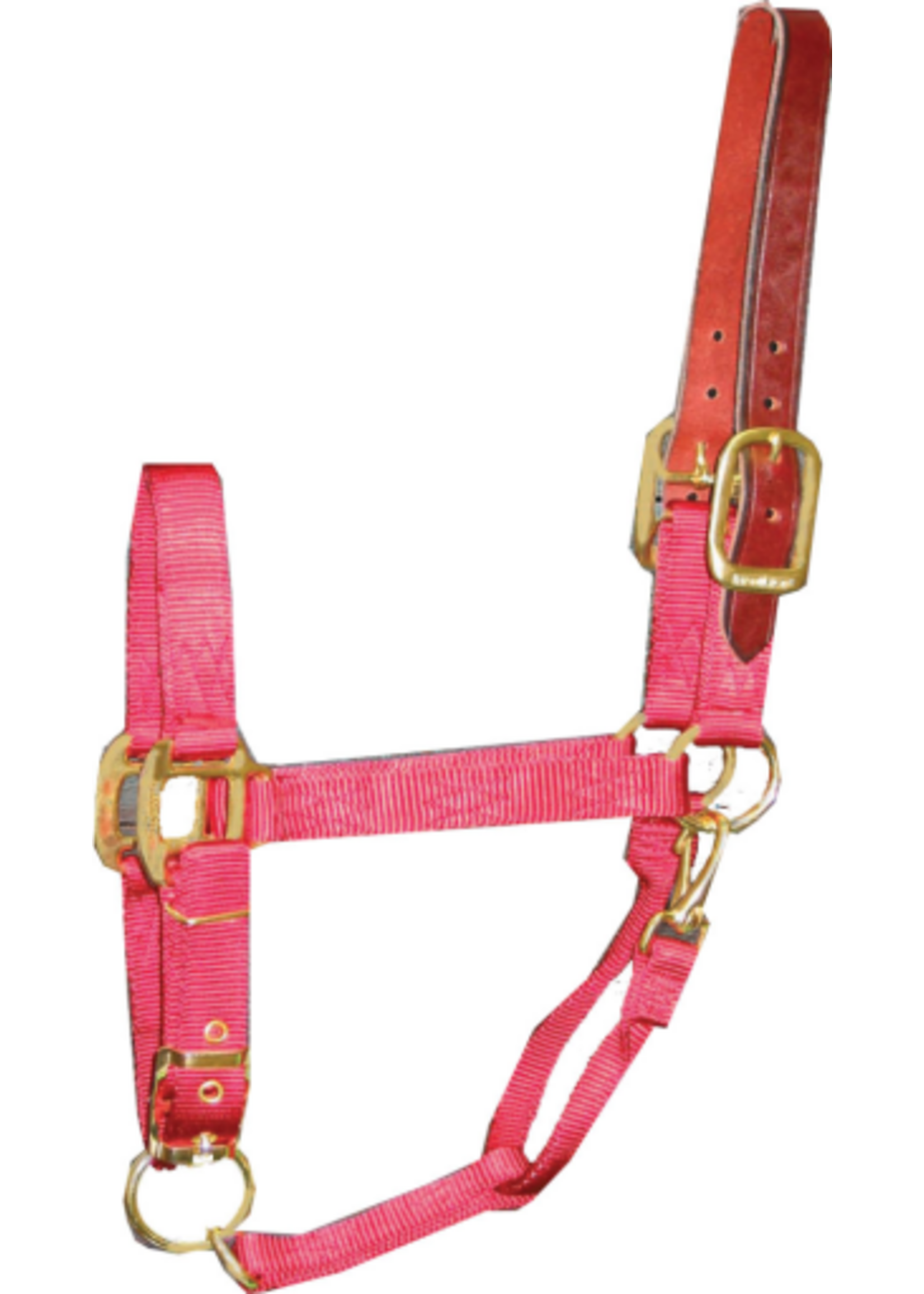 Hamilton Hamilton ADJUSTABLE HALTER WITH LEATHER HEADPOLE AVERAGE RED