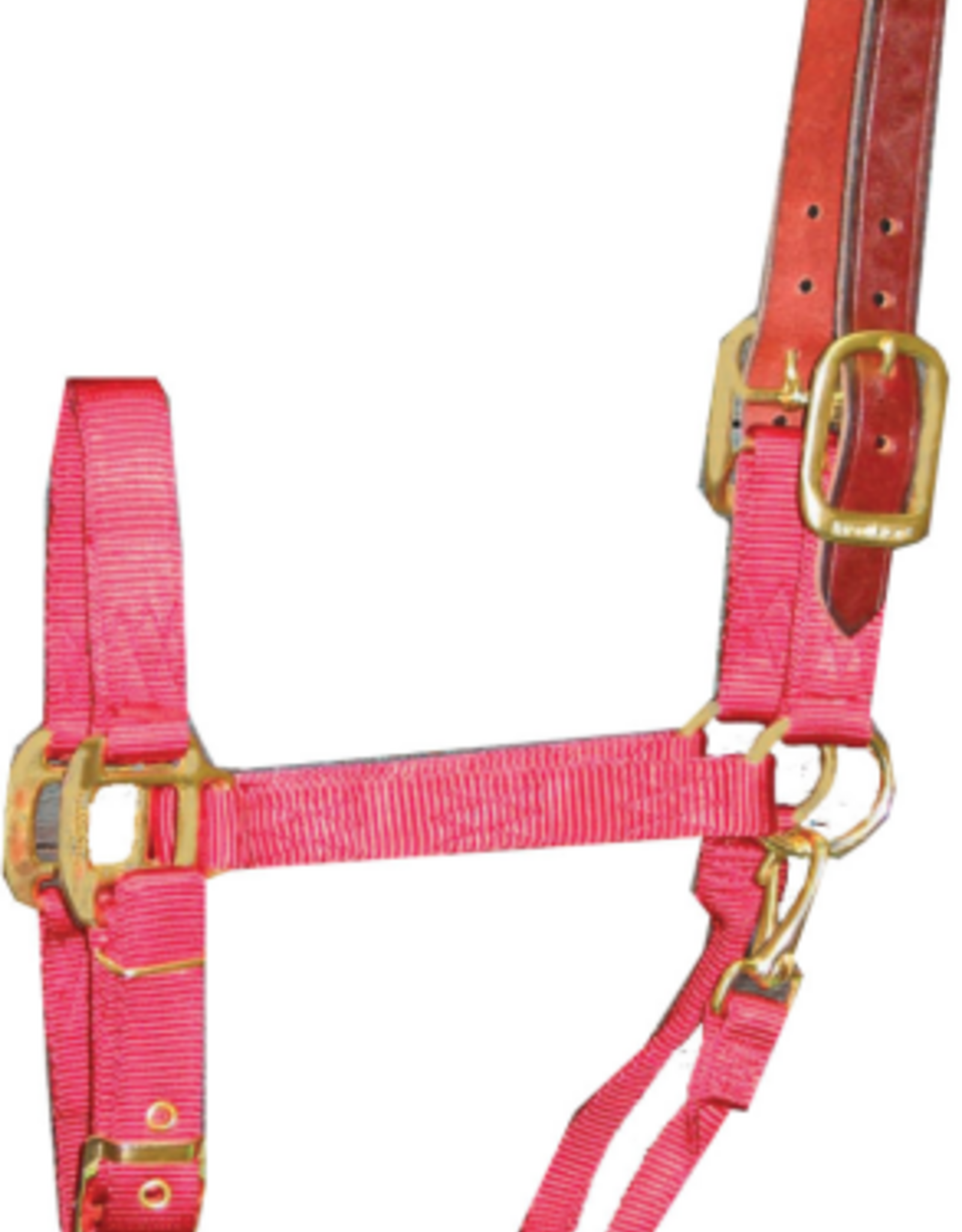 Hamilton Hamilton ADJUSTABLE HALTER WITH LEATHER HEADPOLE AVERAGE RED