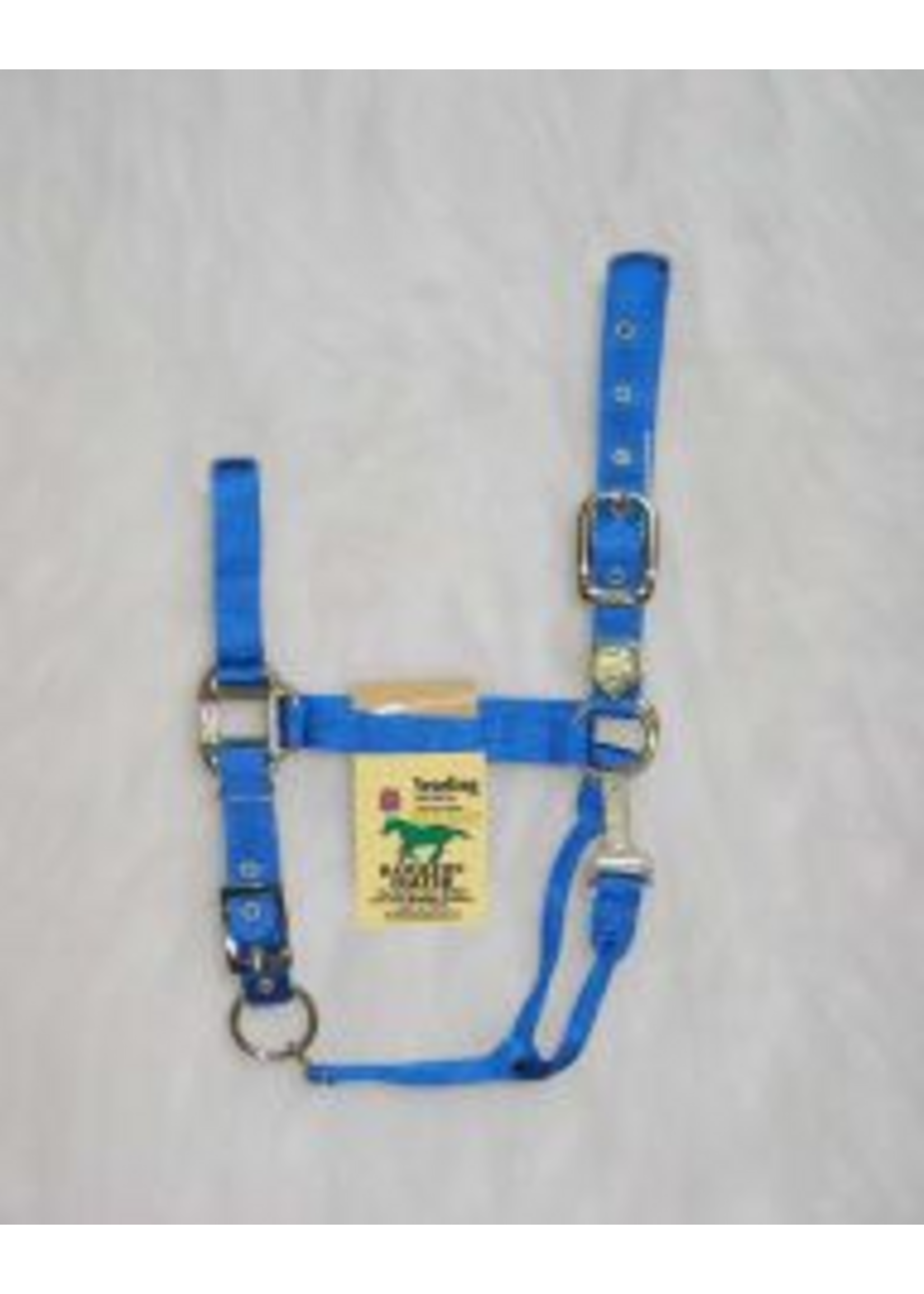 Hamilton Hamilton 3-5 1 Adj Chin Halter W Snap Blue Yearling - 1DAS YRBL