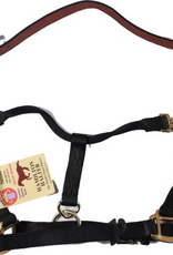 Hamilton Hamilton Adjustable Halter With Leather Headpole- Black Small - 1DALSS SMBK