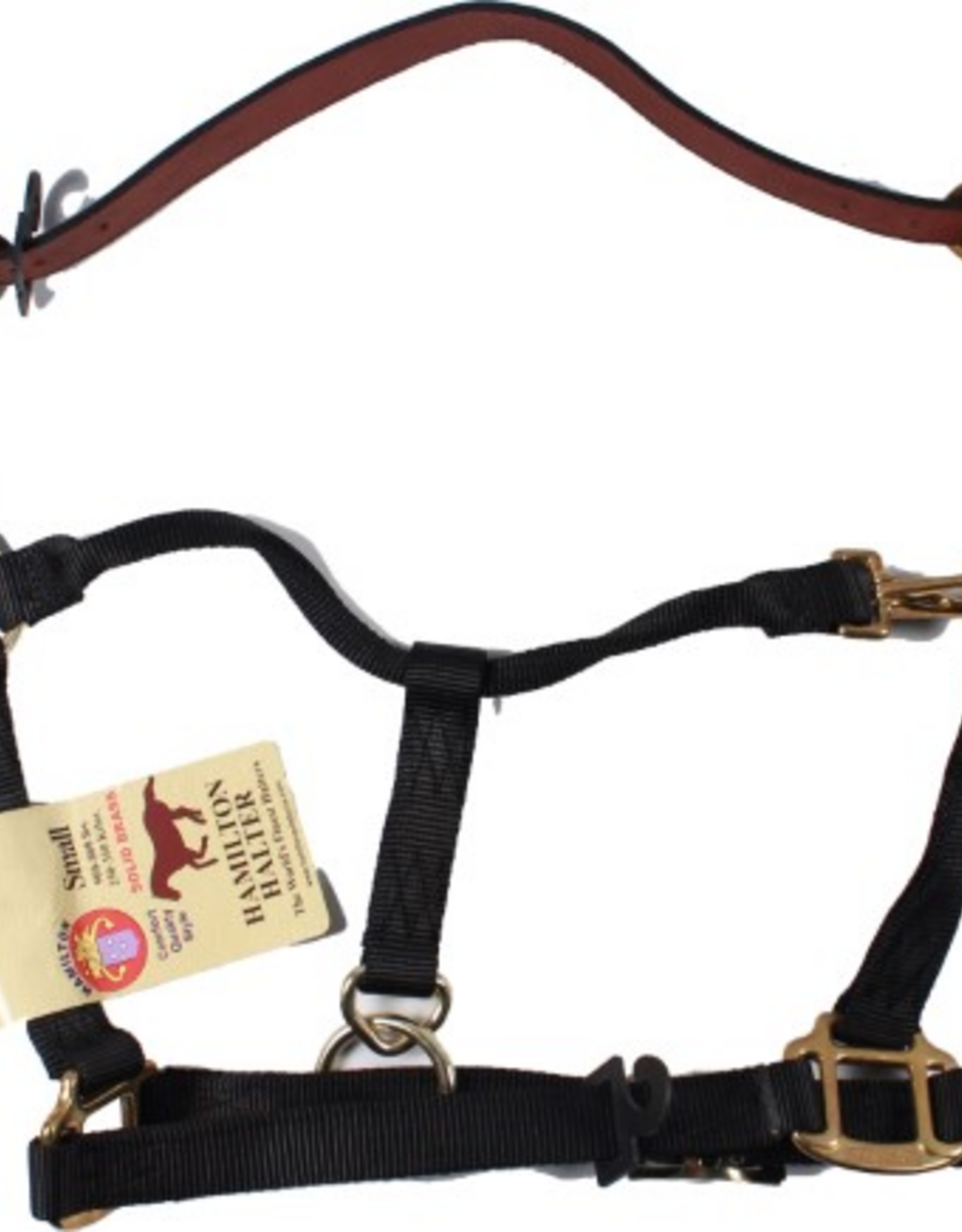 Hamilton Hamilton Adjustable Halter With Leather Headpole- Black Small - 1DALSS SMBK