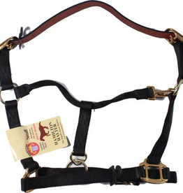 Hamilton Hamilton Adjustable Halter With Leather Headpole- Black Small - 1DALSS SMBK