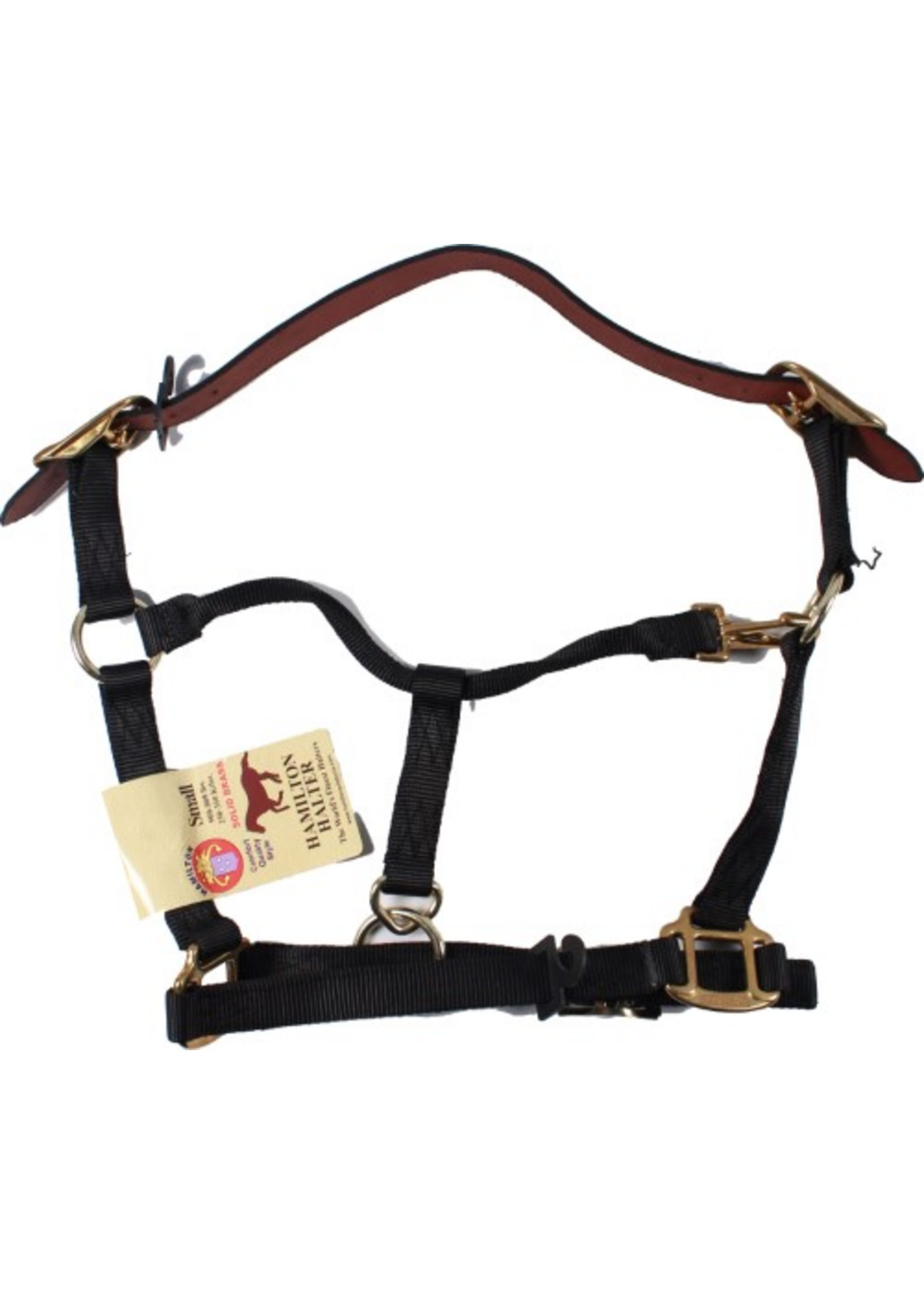 Hamilton Hamilton Adjustable Halter With Leather Headpole- Black Small - 1DALSS SMBK