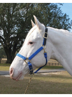 Hamilton Hamilton Adjustable Halter With Leather Headpole- Blue Small - 1DALSS SMBL