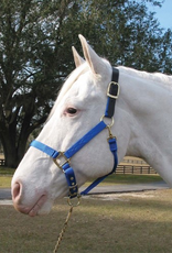 Hamilton Hamilton Adjustable Halter With Leather Headpole- Blue Small - 1DALSS SMBL