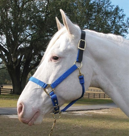 Hamilton Hamilton Adjustable Halter With Leather Headpole- Blue Small - 1DALSS SMBL